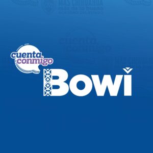 Picture of Operadora de Transporte Vivebús